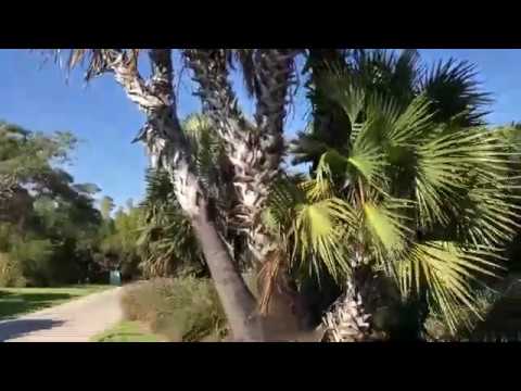 Fairchild Tropical Botanic Garden Tour 2020