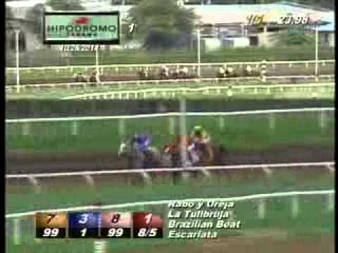 1RA CARRERA DOMINGO 26 DE OCTUBRE 2014 HPR