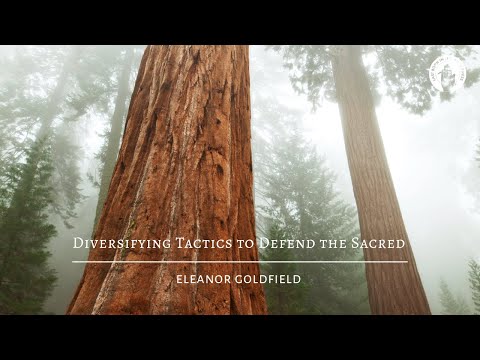 Eleanor Goldfield: Diversifying Tactics To Defend The Sacred