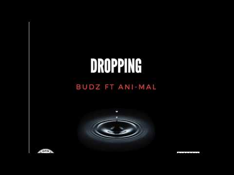 DROPPING (TFE) BUDZ FT ANI-MAL