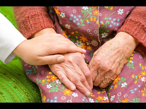 Виды социальной поддержки пожилым людям в РФ