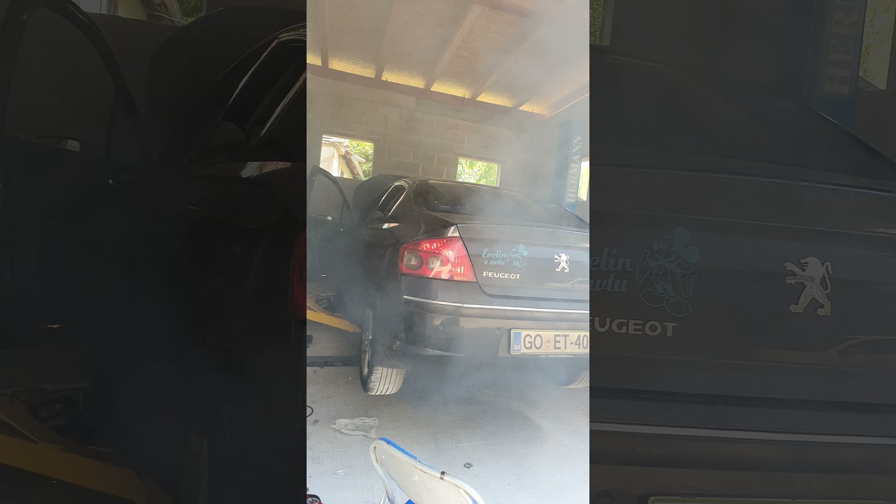 Peugeot 407 dpf problem