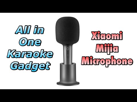 Review and Unbox - Xiaomi Mijia Karaoke Bluetooth Wireless Microphone with Speaker - Great Gadget!