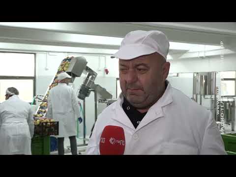 POČELA PROIZVODNJA SOKOVA U HLADNJAČI U OMARSKOJ