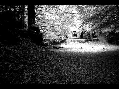 download lagu mp3 mp4 Home To Wim, download lagu Home To Wim gratis, unduh video klip Home To Wim