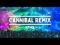 Kesha - cannibal remix (Tiktok Version)