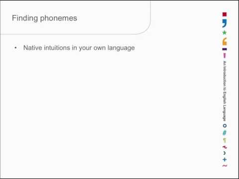 Chapter 5.1: Phonology and contrast - Kuiper and Allan