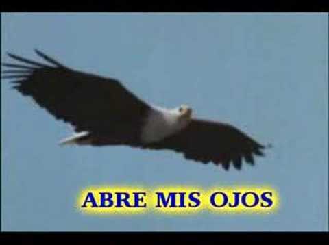 Abre mis ojos