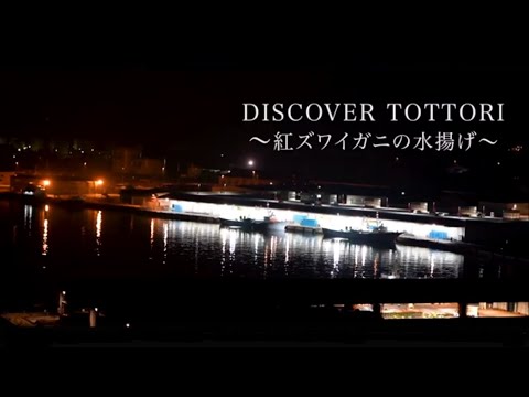 Discover  Tottori～紅ズワイガニの水揚げ～