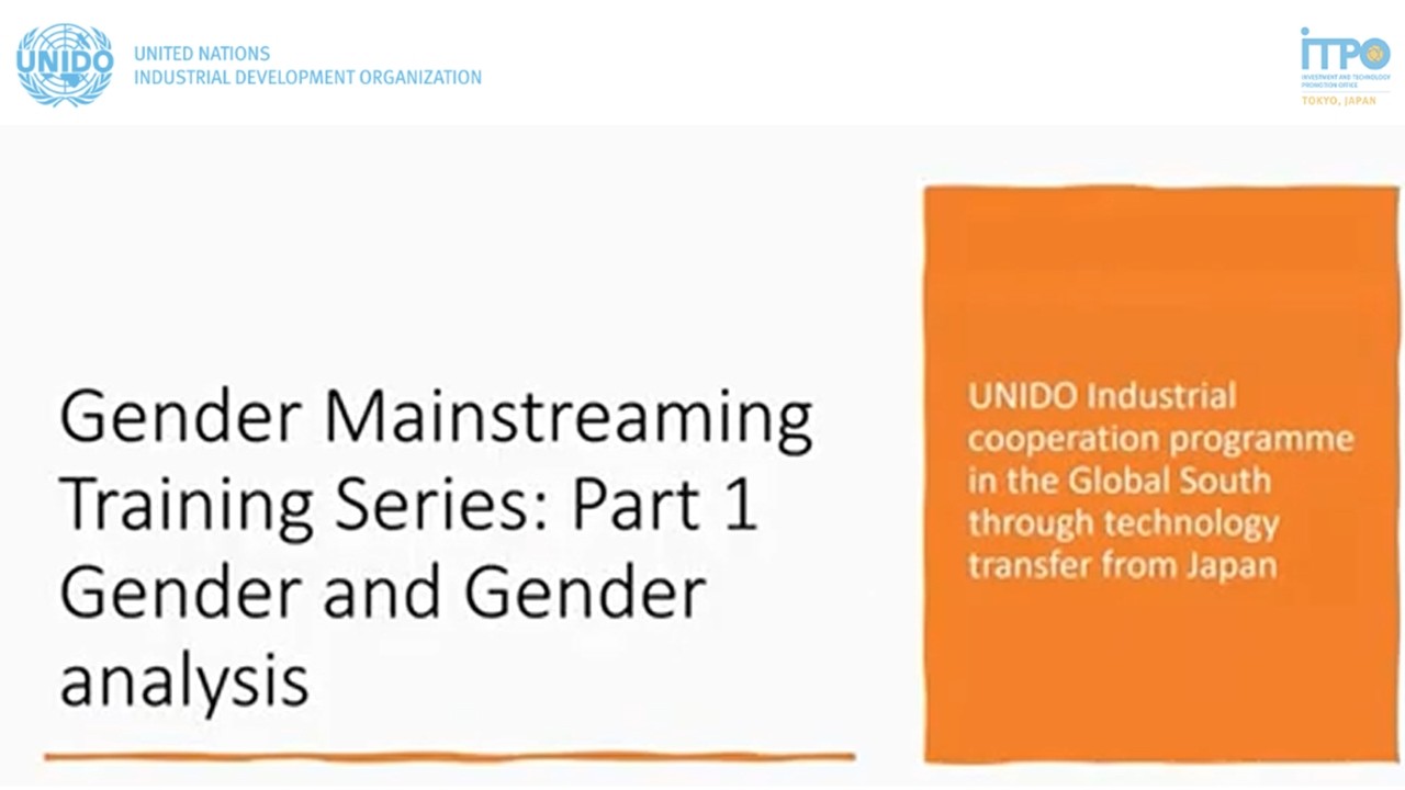 Gender mainstreaming in business practice | UNIDO Global South programme