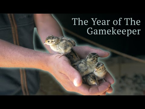 Year of the Gamekeeper - Part 2