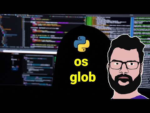 #9 Python Standard Library `os` and `glob`
