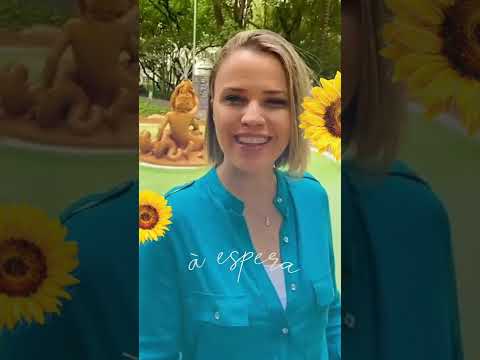À Espera - Andréia Zanardi