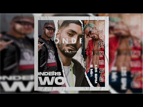 Sneazzy X Laylow X Hamza Type Beat | Wonders