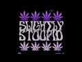 Slightly Stoopid - Breakbeat (ft. DJ Hellnaw) [Purpled by 7Right]