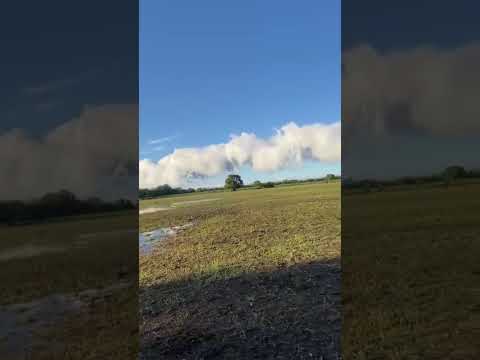 Esta mañana en Naré, provincia de Santa Fe 🎥 Reporte de @matimendoza845 25/10/2025