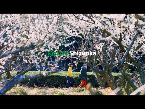 【4K】Hybrid Bike (Cross Bike) Tour to a Green Tea Farm (English) | Explore Shizuoka