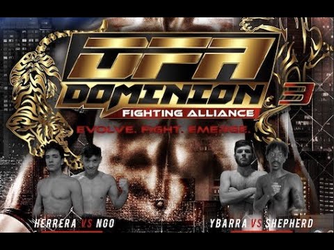 DFA 3 Full Event