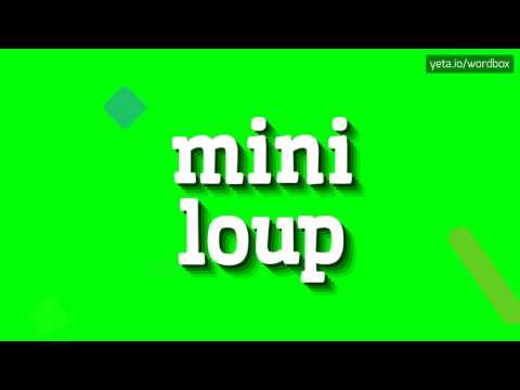 MINI LOUP - HOW TO PRONOUNCE IT? #mini loup
