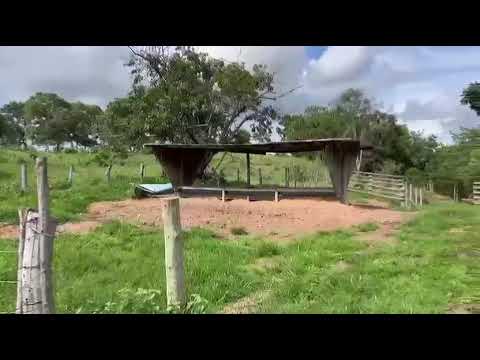 Fazenda Changry-lá - Fazenda Nova - GO