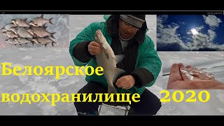 Белоярское водохранилище отчеты о рыбалке июнь 2020