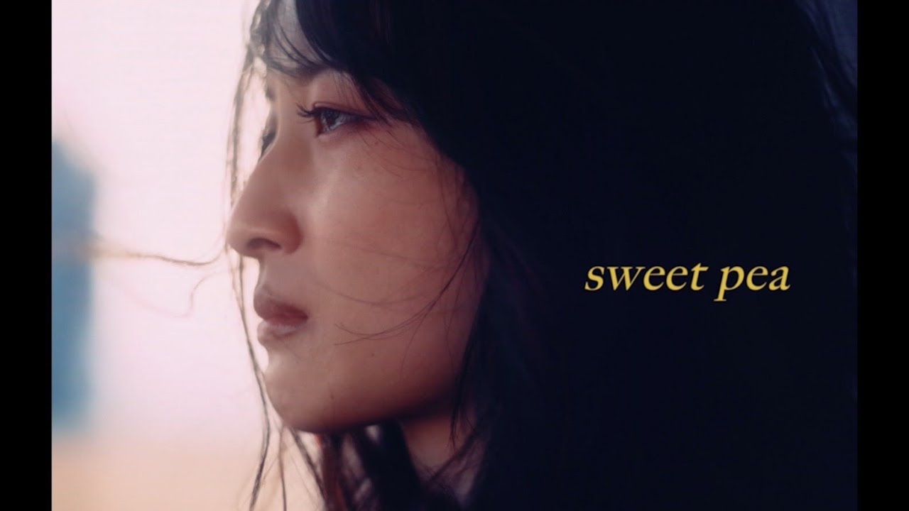 スイートピー / シャイトープ