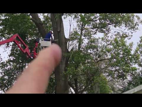 Reroofing a Home in Jacksonville, FL