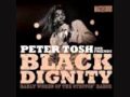 Peter Tosh - Nobody's Business A.K.A Leave My Business