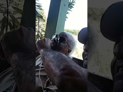 CLÁSSICOS DO TALITO MAMÃE