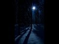 Moonlight Becomes You -  Harry Allen