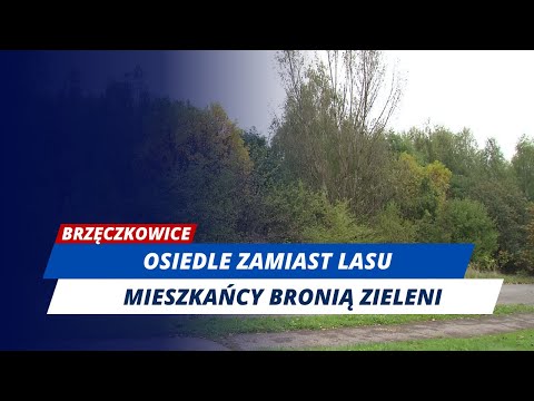 Brzęczkowice: Wszystko bez naszej zgody i wiedzy - mieszkańcy bronią lasu