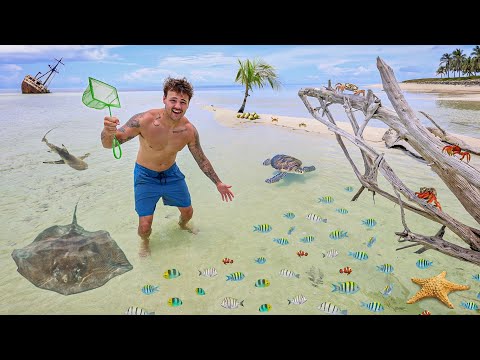 Finding SEA CREATURES on Remote Island 10 Miles from Land!! (Dangerous)