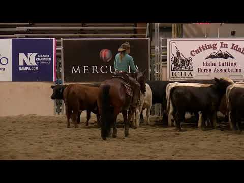 Ichis My Choice & Constance Jaeggi win Idaho Mercuria Non Pro with a 231