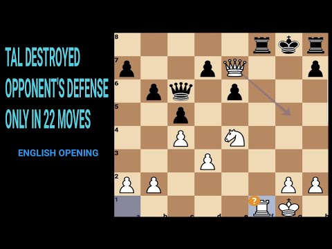 Mikhail tal vs John van der wiel 1982 - Moscow interzonal tournament. Moscow,URS