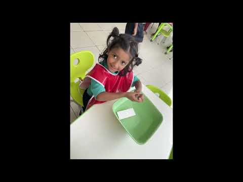 Sink or Float? PYP Nursery Material Inquiry