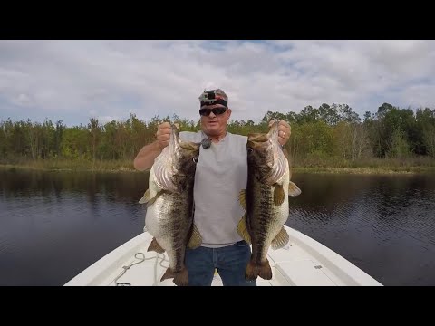 TOP 5 BIGGEST BASS EVER CAUGHT! (compilation)