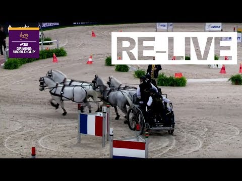 RE-LIVE | Driving Part 1 | Stuttgart (GER) | FEI Driving World Cup™