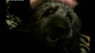 Vangelis &amp; Jon Anderson : Sing With Your Eyes