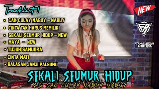 Download lagu DJ TERBARU CAK CULAY NABUY-NABUY | DJ SEKALI SEUMUR HIDUP X DJ MAYA NEW 2022 • DJ FIRMANSAH SHIHAB mp3