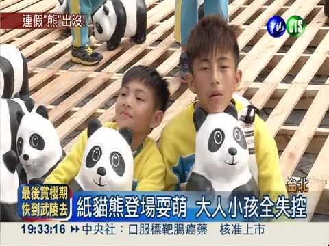 紙貓熊不再快閃 市府前暫定居!