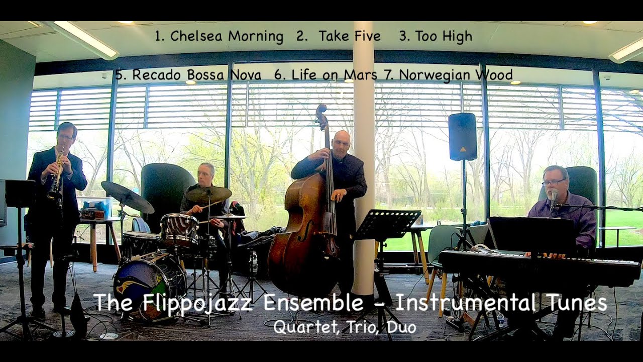 Promotional video thumbnail 4 for Dave Flippo - Solo Piano / Vocalist
