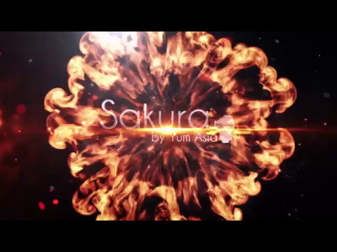 Sakura Multifunction Rice Cooker With Ceramic Bowl Hits Hard In The UK and Europe