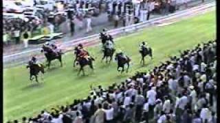 T-Rex - Yasin Emamdee - Mohammad Moorad Keerpah - Free Horse Racing Tips