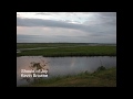 Kevin Browne - Shouts of Joy