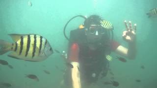 preview picture of video 'SCUBA Diving near Sindhudurg Fort, Malvan, Maharashtra'