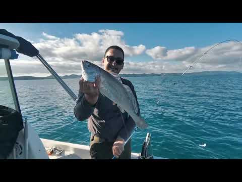 Kančanica - izlet / Dugi otok