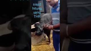 Download lagu Arrayo mp3 Download lagu Arrayo mp3