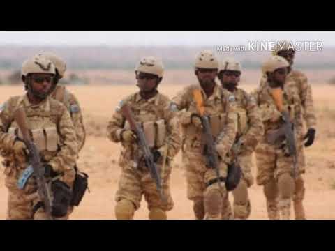 PSF ( War hooy maad naga tagtaan, nama taqaaniine)