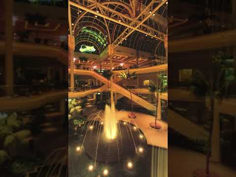 死夢VANITY- atlantic city