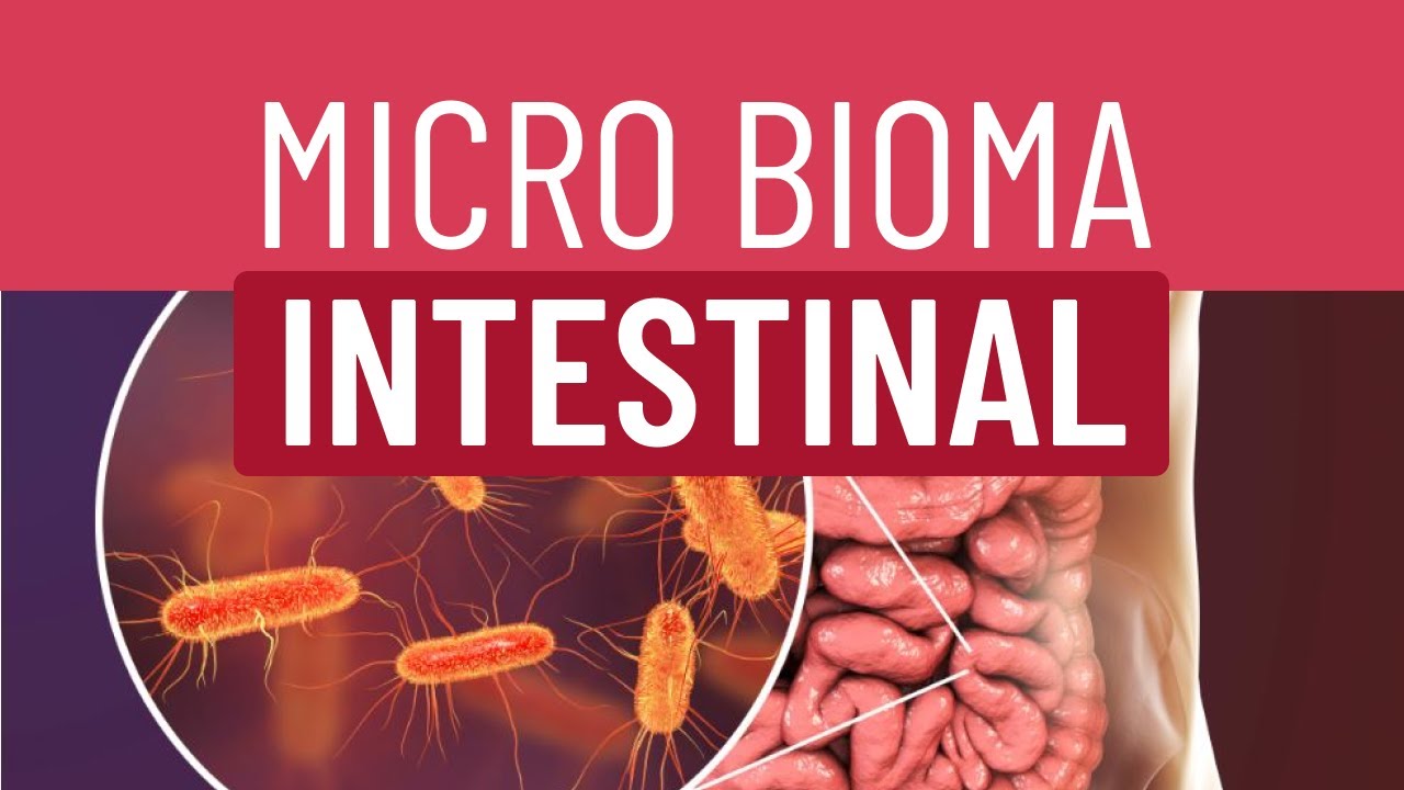 Micro bioma intestinal